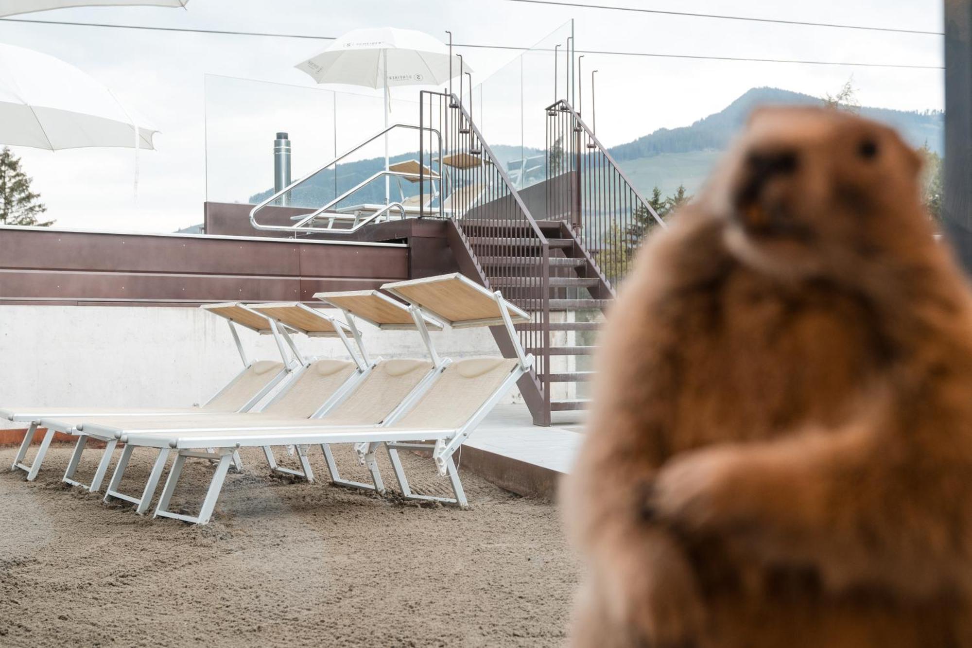 Al Plan, A Mountain Moving Hotel San Vigilio Di Marebbe Bagian luar foto